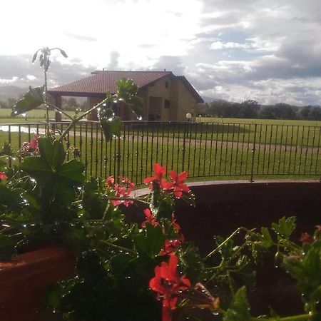 Agriturismo Oasi Del Pianettino カンパニャーティコ エクステリア 写真