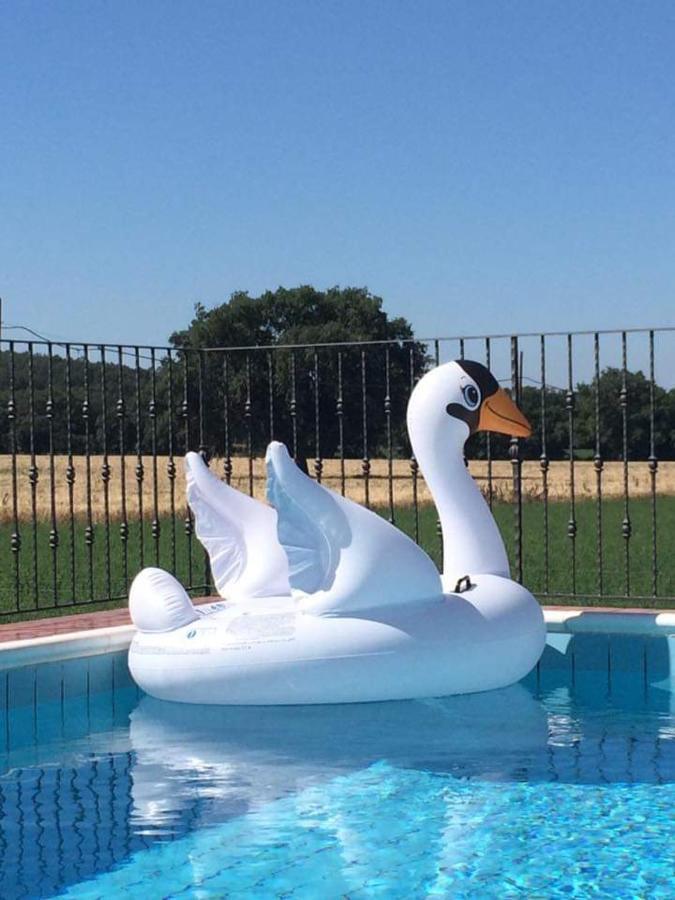 Agriturismo Oasi Del Pianettino カンパニャーティコ エクステリア 写真