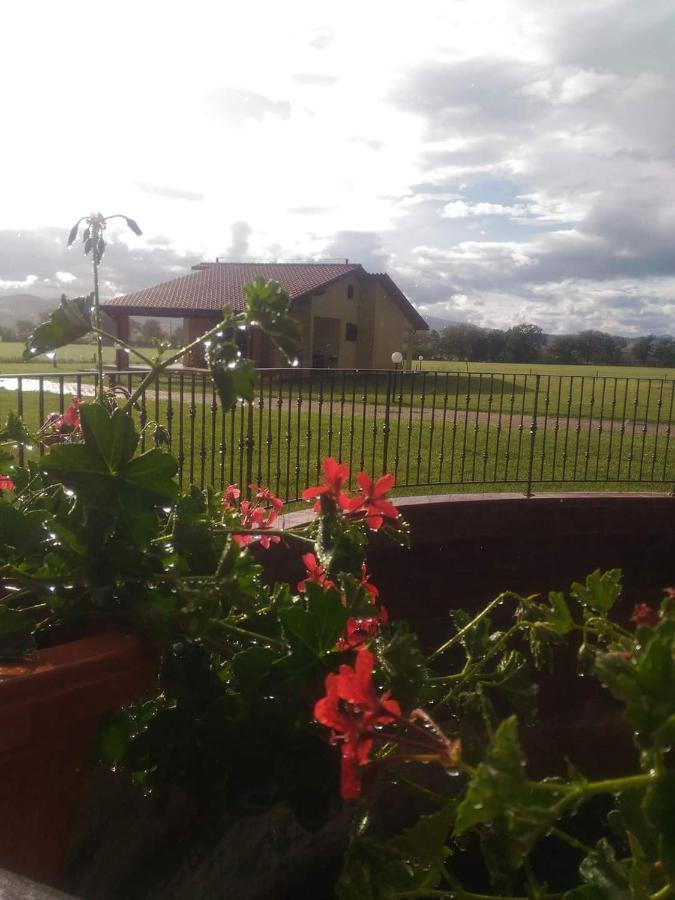 Agriturismo Oasi Del Pianettino カンパニャーティコ エクステリア 写真