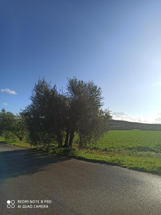 Agriturismo Oasi Del Pianettino カンパニャーティコ エクステリア 写真